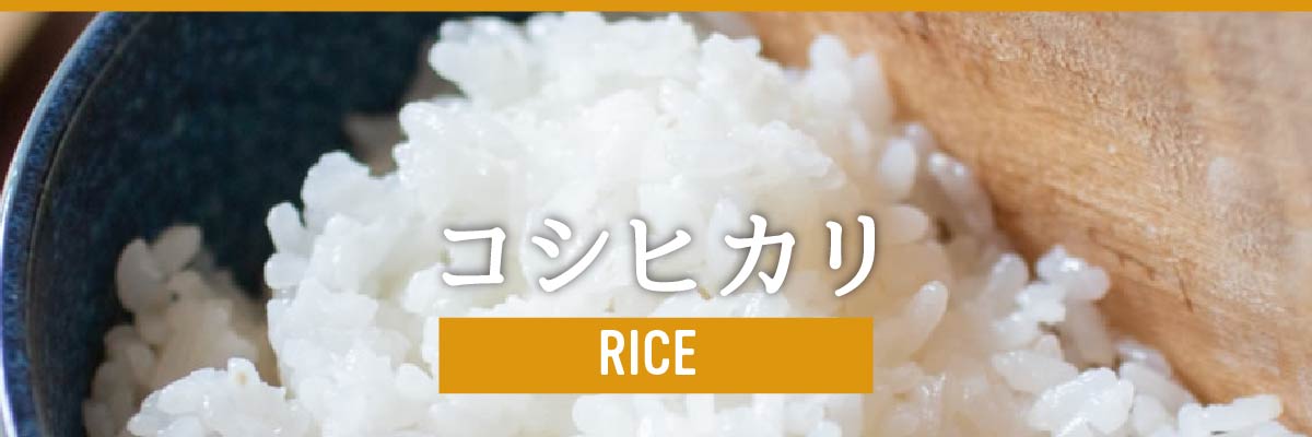 深作農園のお米