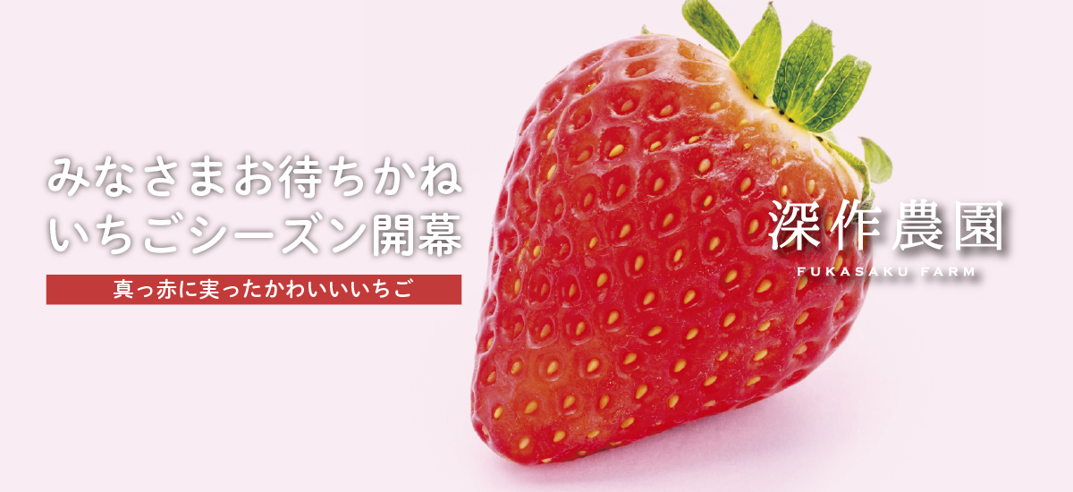 top_slider2601.png