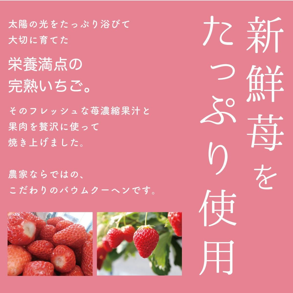 000000000010-03.jpg?size=l&w=