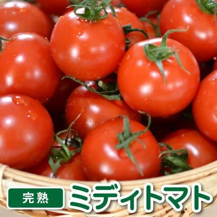 ミディトマト（1.5kg箱入り） | 深作農園