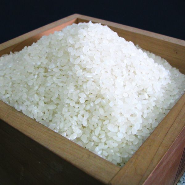 3☆新米　高田農園のこしひかり白米24kg 15500円 全国送料無料☆ 楽天市場】レビューで蕎麦プレゼント♪ 農林水産大臣賞受賞