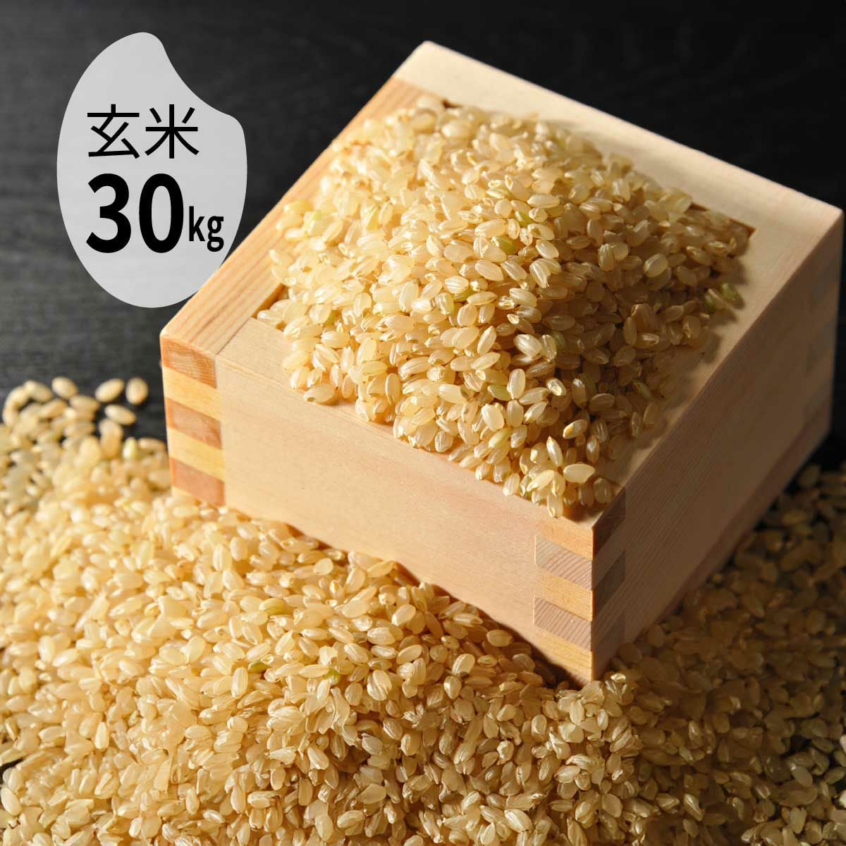 玄米30kg 【令和7年新米/2025年秋収穫】 深作農園 米 コシヒカリ 玄米