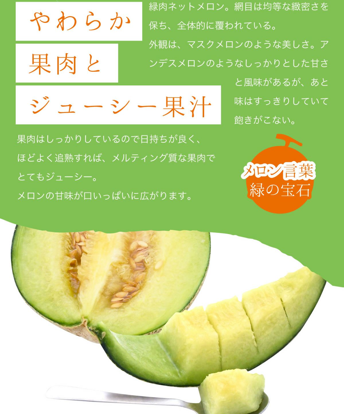 送料無料】メロン メロディーグリーン2玉セット （約1.2kg以上×2玉