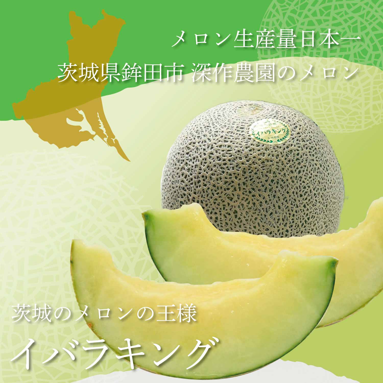 送料無料】メロン イバラキング☆特大☆1玉（約1.8kg以上×1玉