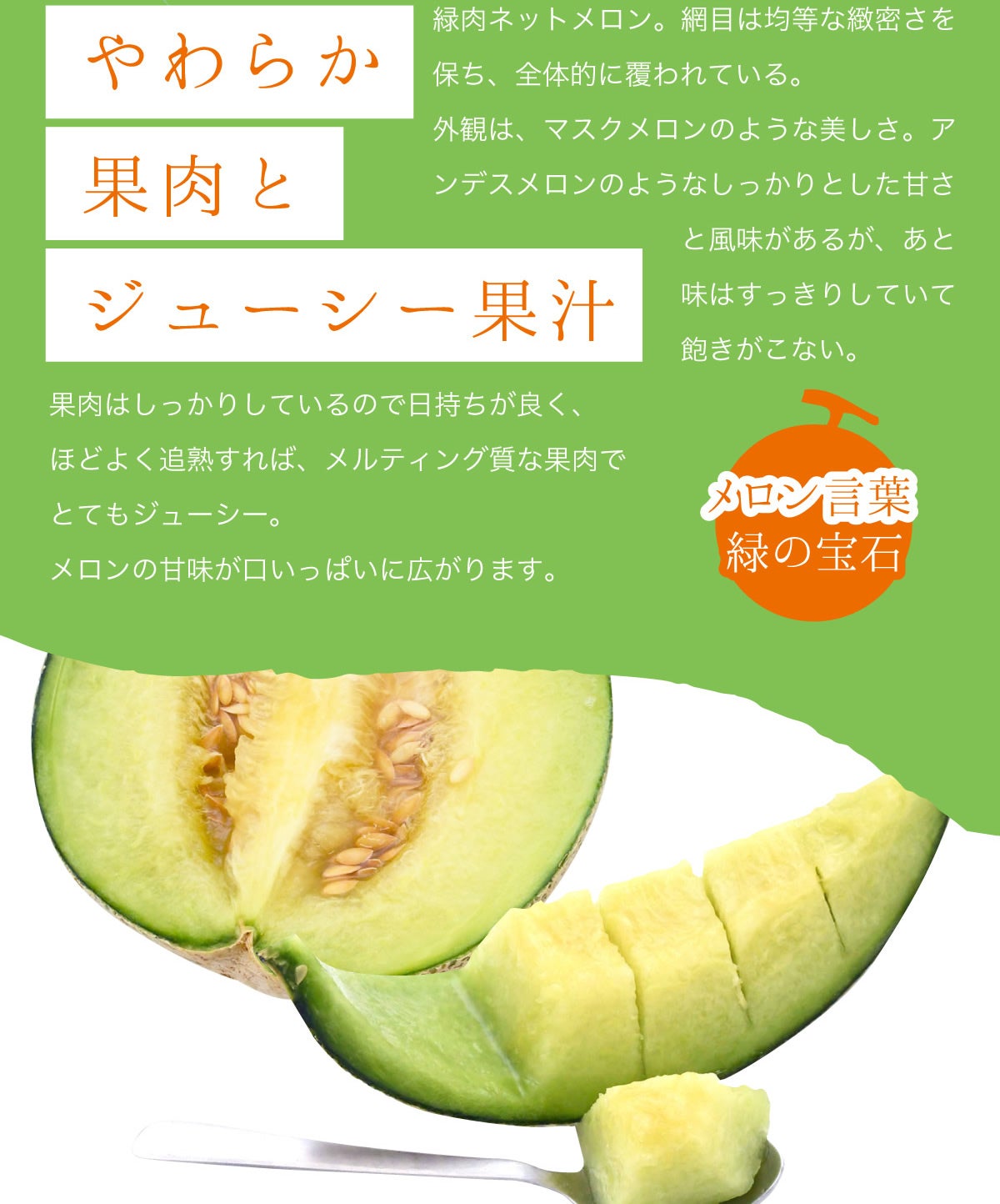 送料無料】メロン メロディーグリーン1玉（約1.4kg以上×1玉