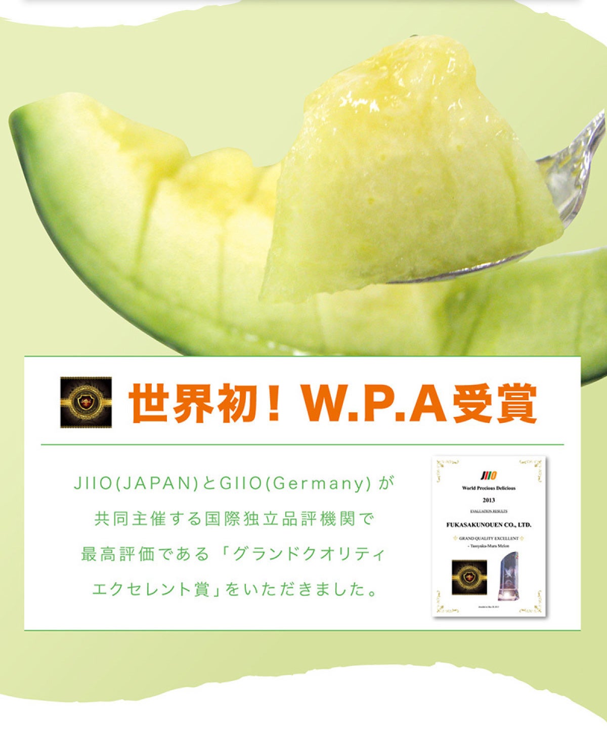 送料無料】メロン メロディーグリーン1玉（約1.4kg以上×1玉