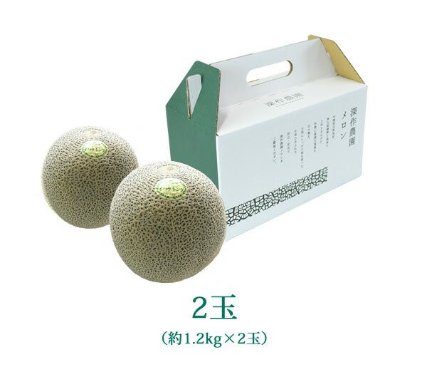 送料無料】メロン イバラキング2玉セット（約1.2kg以上×2玉