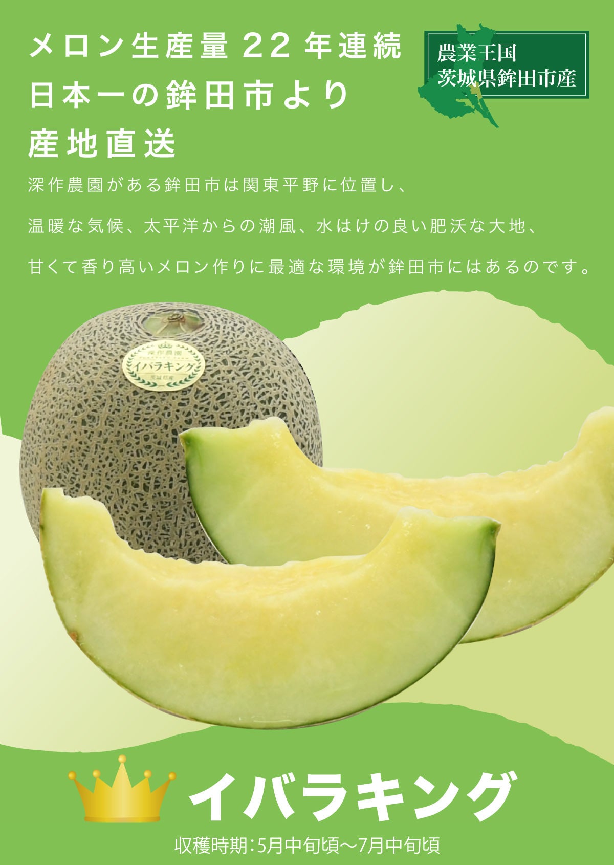 送料無料】メロン イバラキング2玉セット（約1.2kg以上×2玉