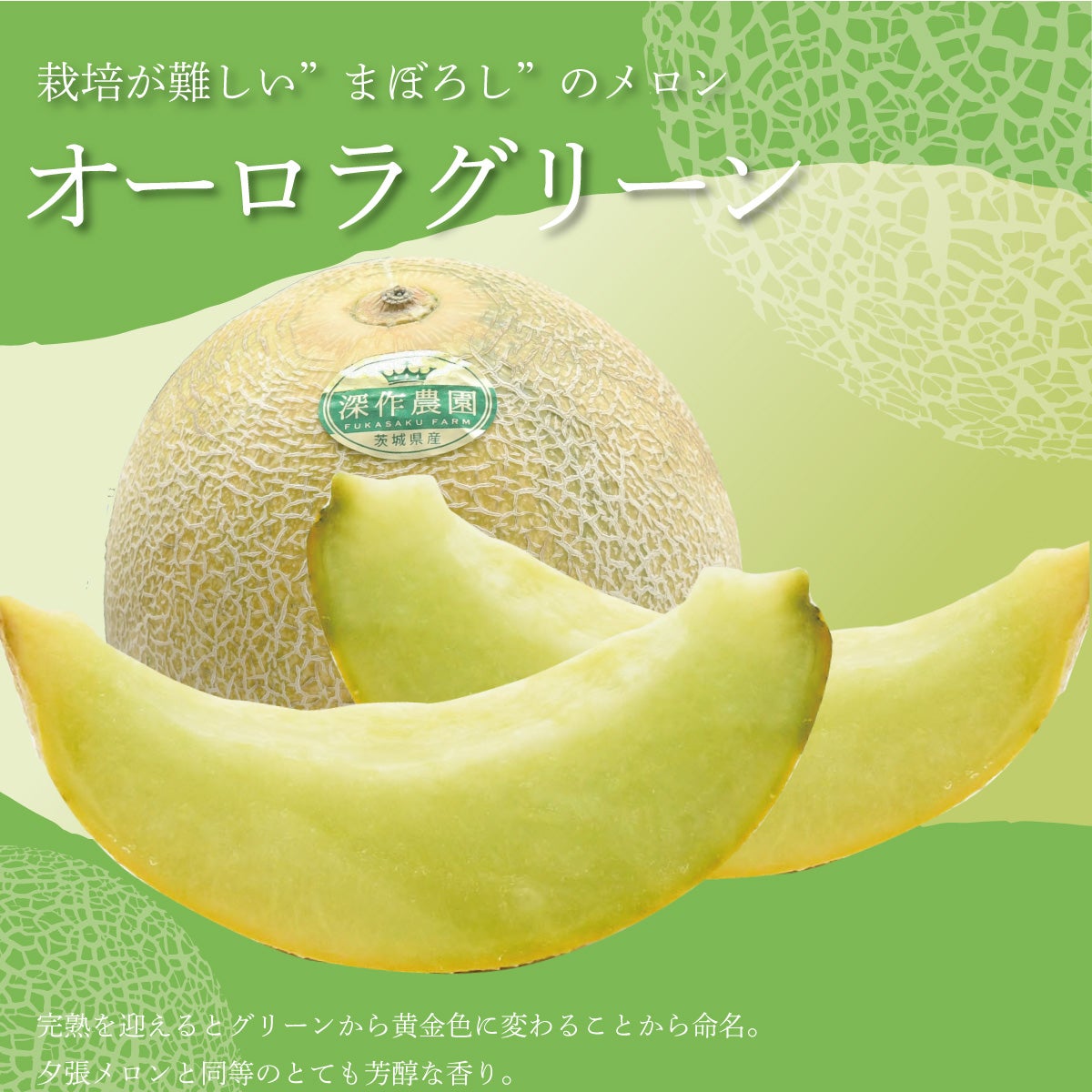 000000000057-04.jpg?size=l&w=