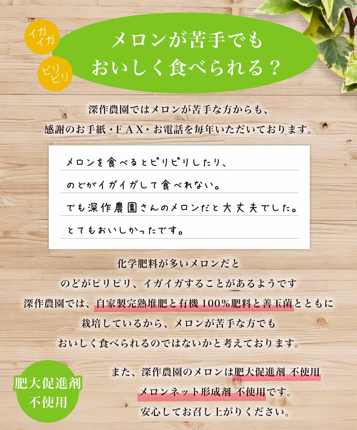 送料無料】メロン オーロラグリーン1玉（約1.4kg×1玉