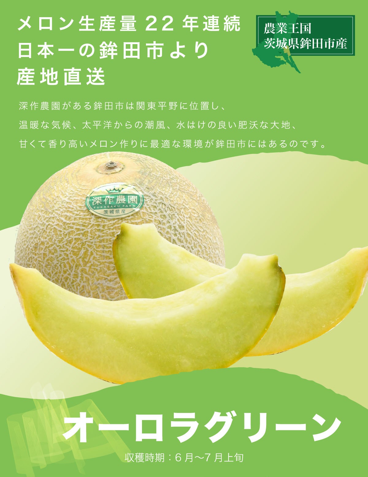 送料無料】メロン オーロラグリーン2玉（約1.2kg×2玉
