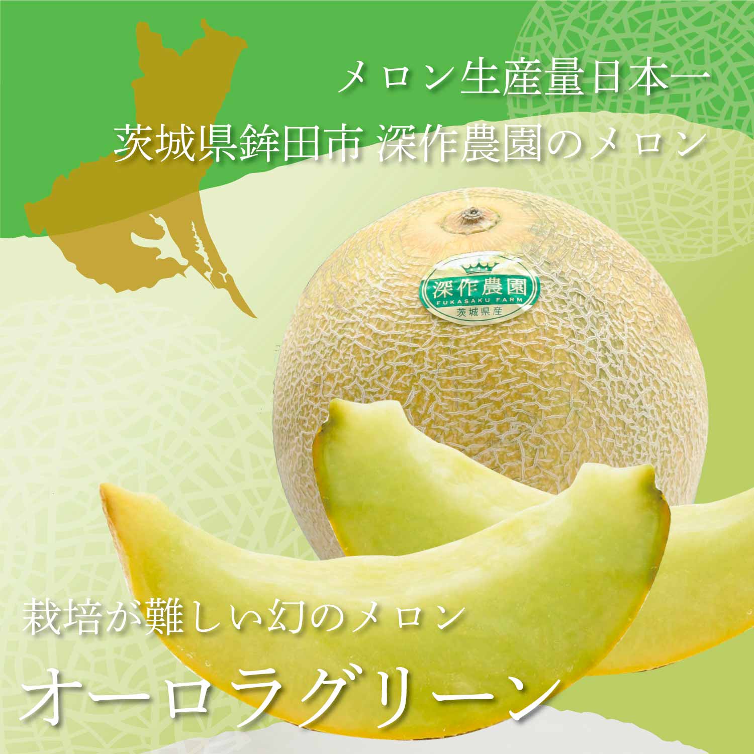 送料無料】メロン オーロラグリーン2玉（約1.2kg×2玉
