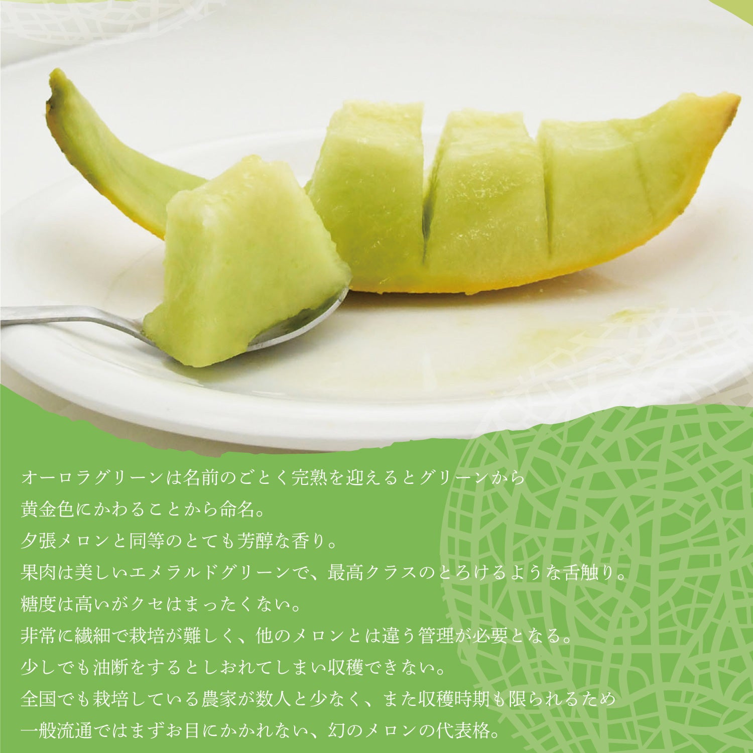 送料無料】メロン オーロラグリーン2玉（約1.2kg×2玉