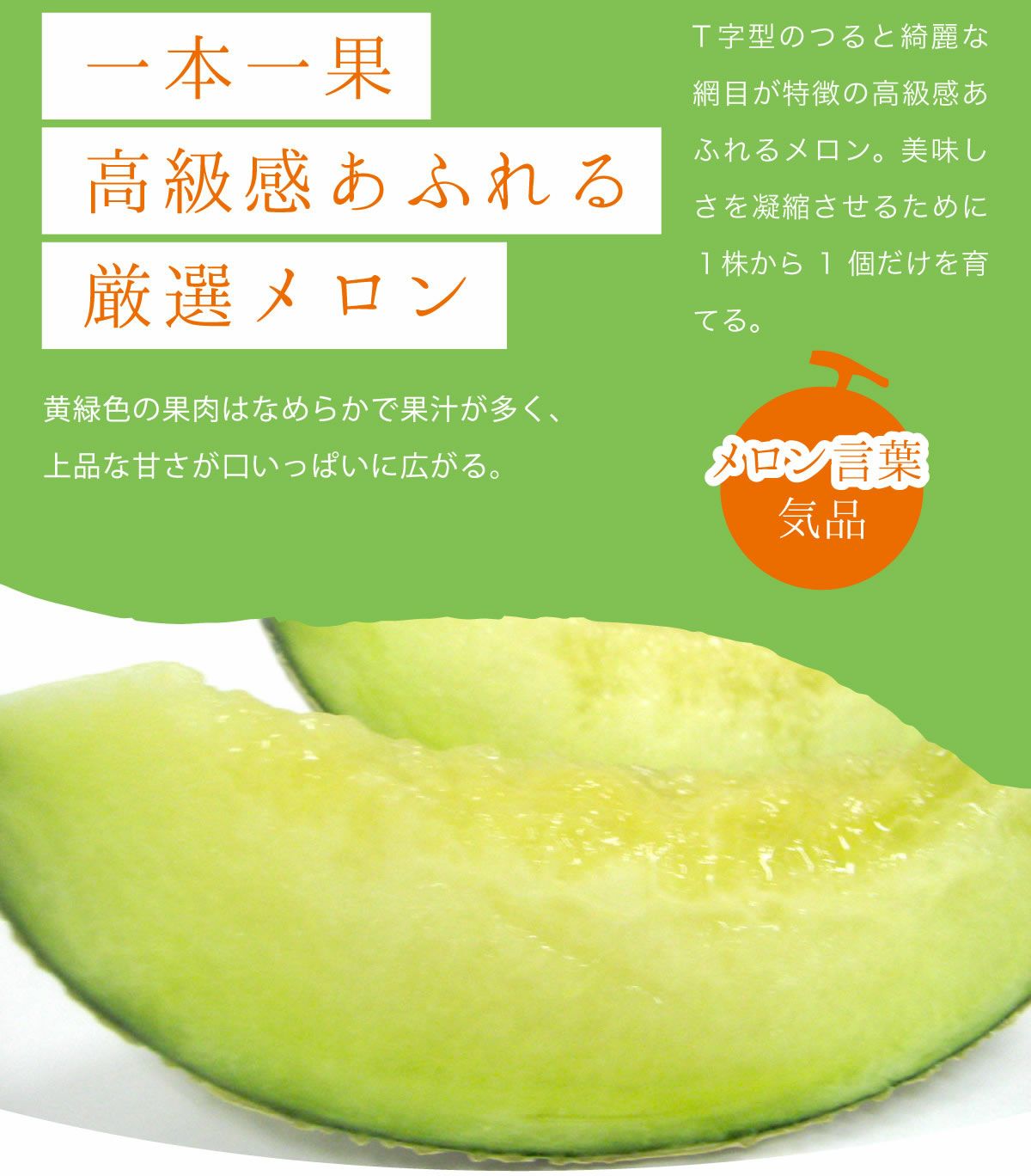 送料無料】メロン アールスメロン melon_earls_L2 大サイズ2玉（約1.5