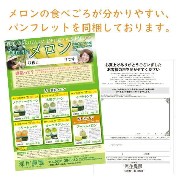送料無料】メロン アールスメロン melon_earls_L2 大サイズ2玉（約1.5