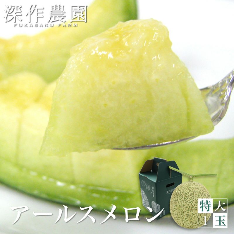 送料無料】メロン アールスメロン melon_earls_XL1 特大サイズ1玉（約