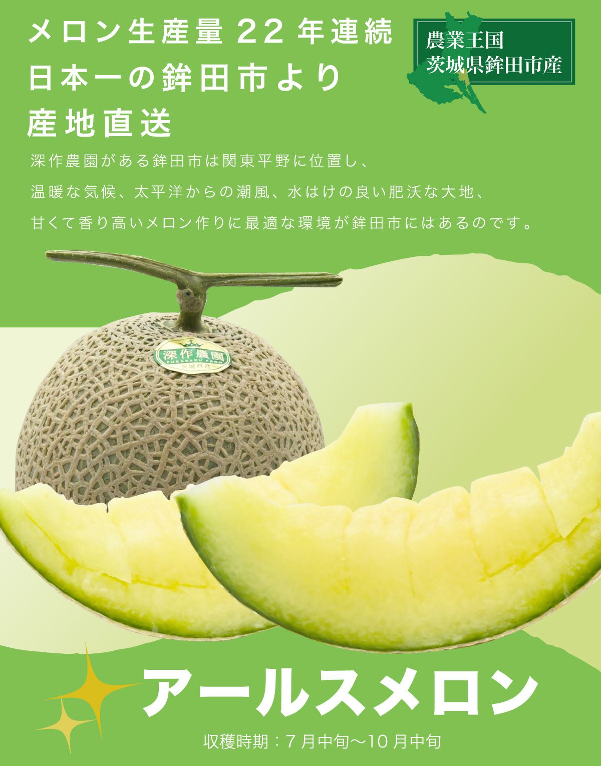 送料無料】メロン アールスメロン melon_earls_XL1 特大サイズ1玉（約