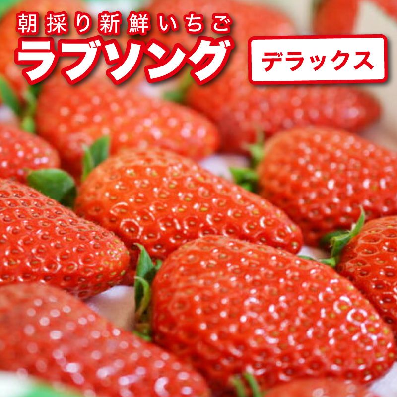 いちご いちご ラブソング（紅ほっぺ）デラックス DXサイズx2トレイ【送料
