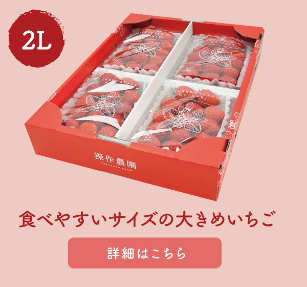 いちご ラブソング（紅ほっぺ）プレミアムパック 2Lサイズ×4パック