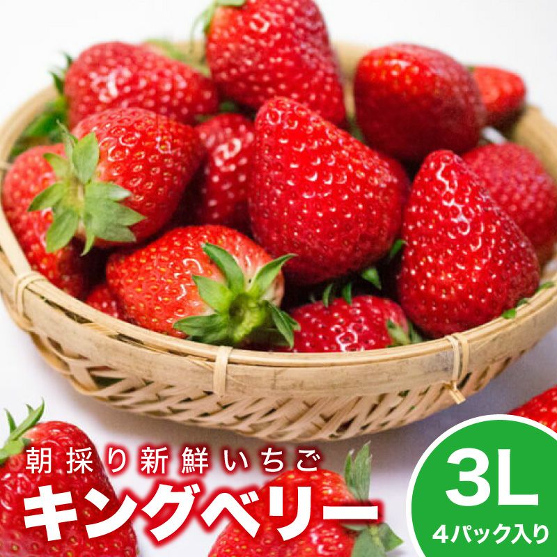 いちご キングベリー（とちおとめ）プレミアムパック 3Lサイズ×4パック