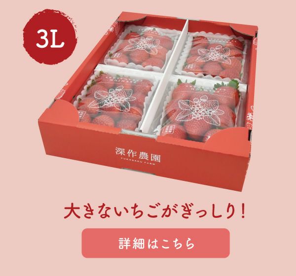 いちご キングベリー（とちおとめ）プレミアムパック 3Lサイズ×4パック