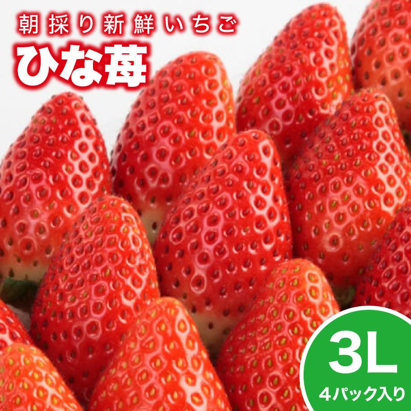 いちご ひな苺（やよいひめ）プレミアムパック 3Lサイズ×4パック【送料