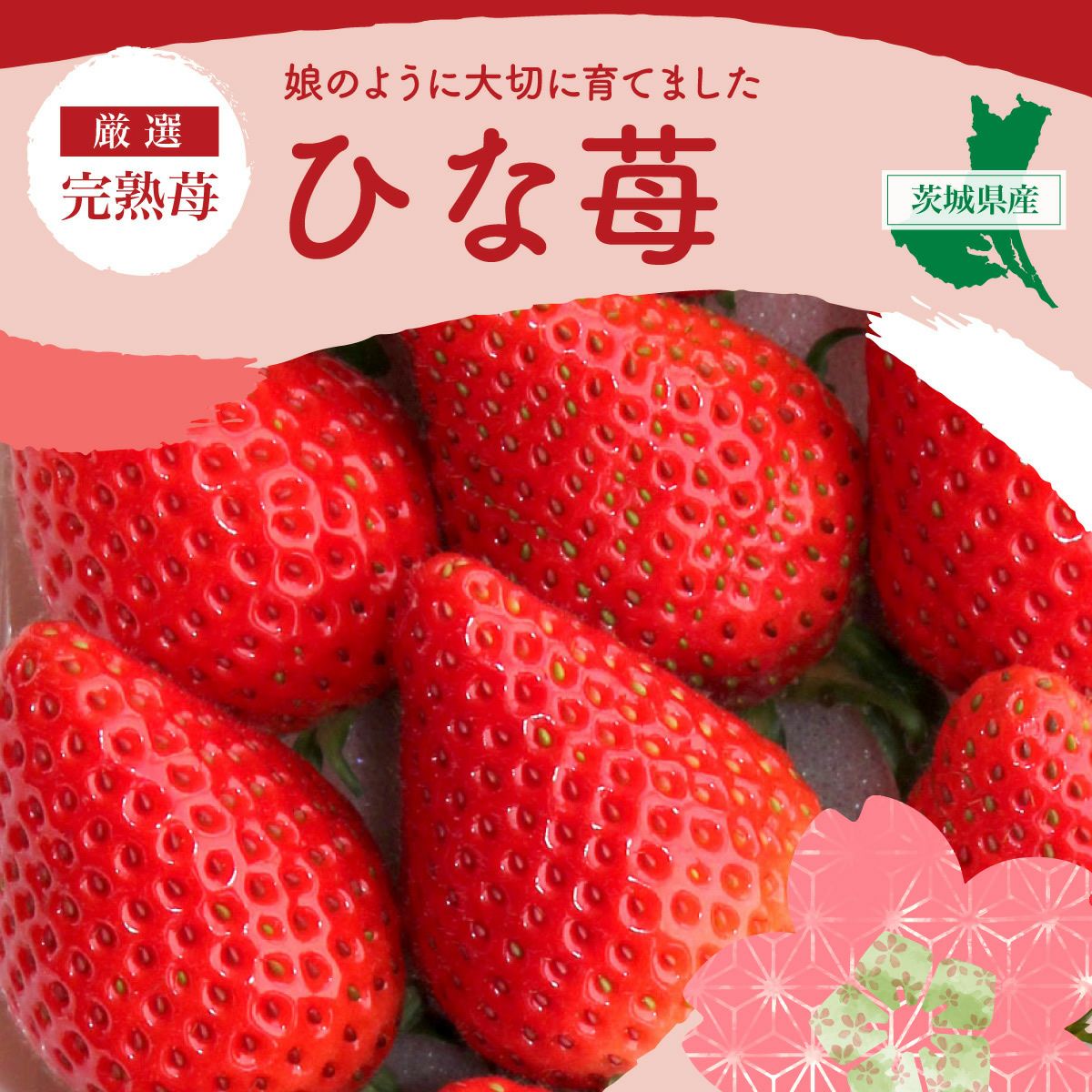 いちご ひな苺（やよいひめ）プレミアムパック 3Lサイズ×4パック【送料