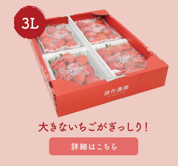 いちご ひな苺（やよいひめ）プレミアムパック 3Lサイズ×4パック【送料