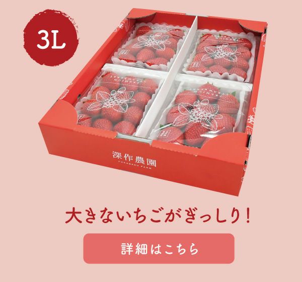 いちご ラブソング（紅ほっぺ）プレミアムパック 3Lサイズ×4パック