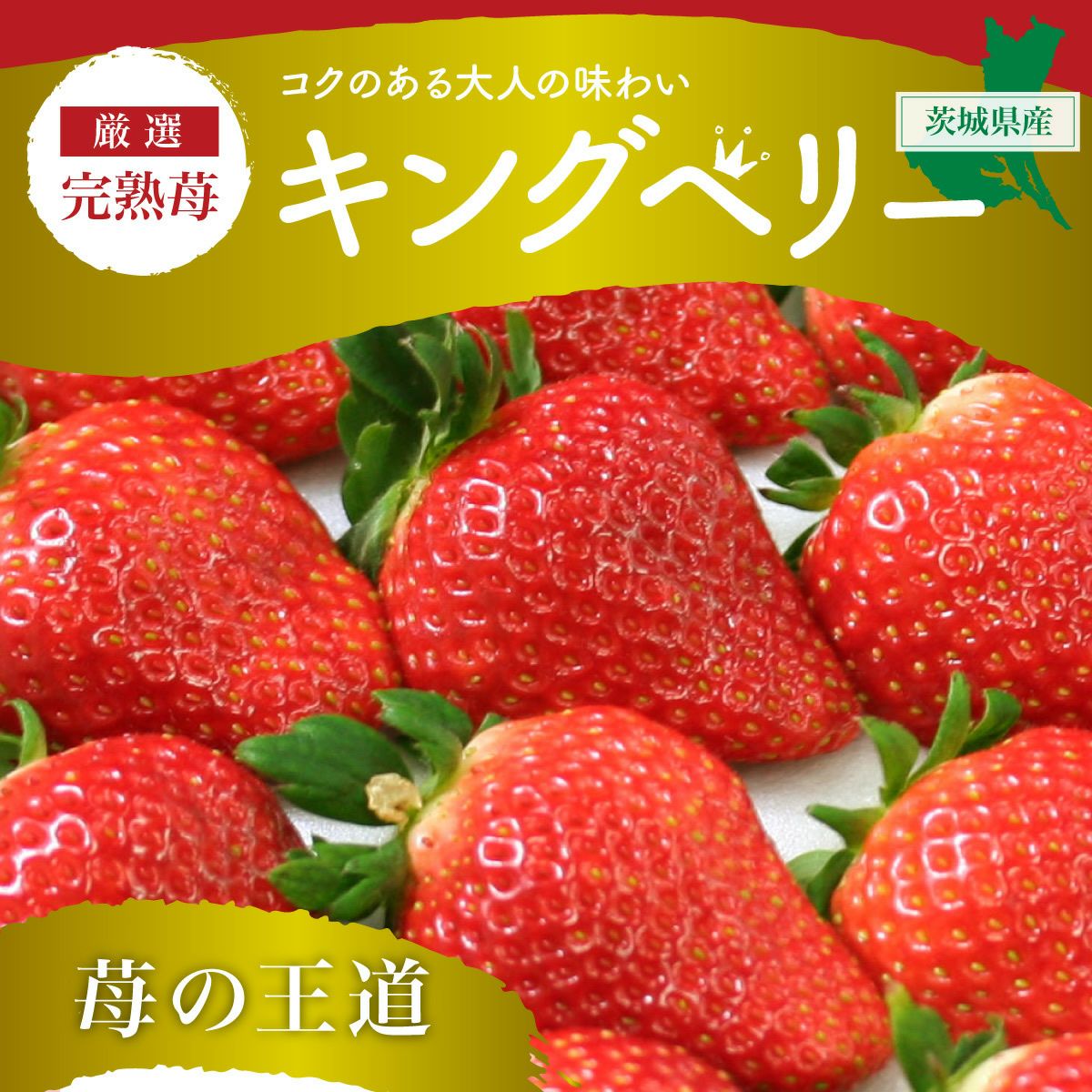 いちご キングベリー（とちおとめ）デラックス DXサイズx2トレイ
