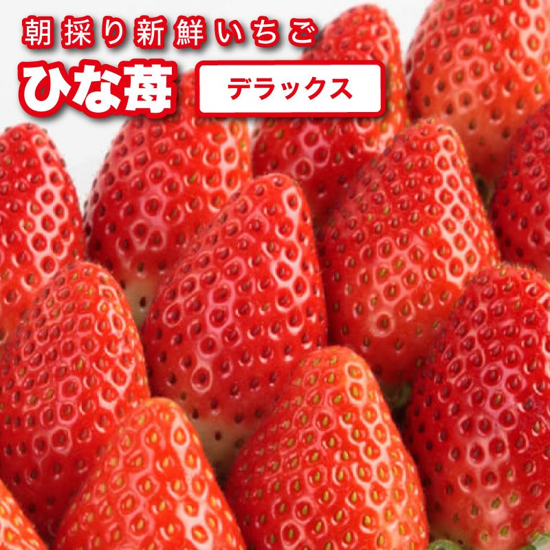 いちご ひな苺（やよいひめ）デラックス DXサイズx2トレイ【送料無料