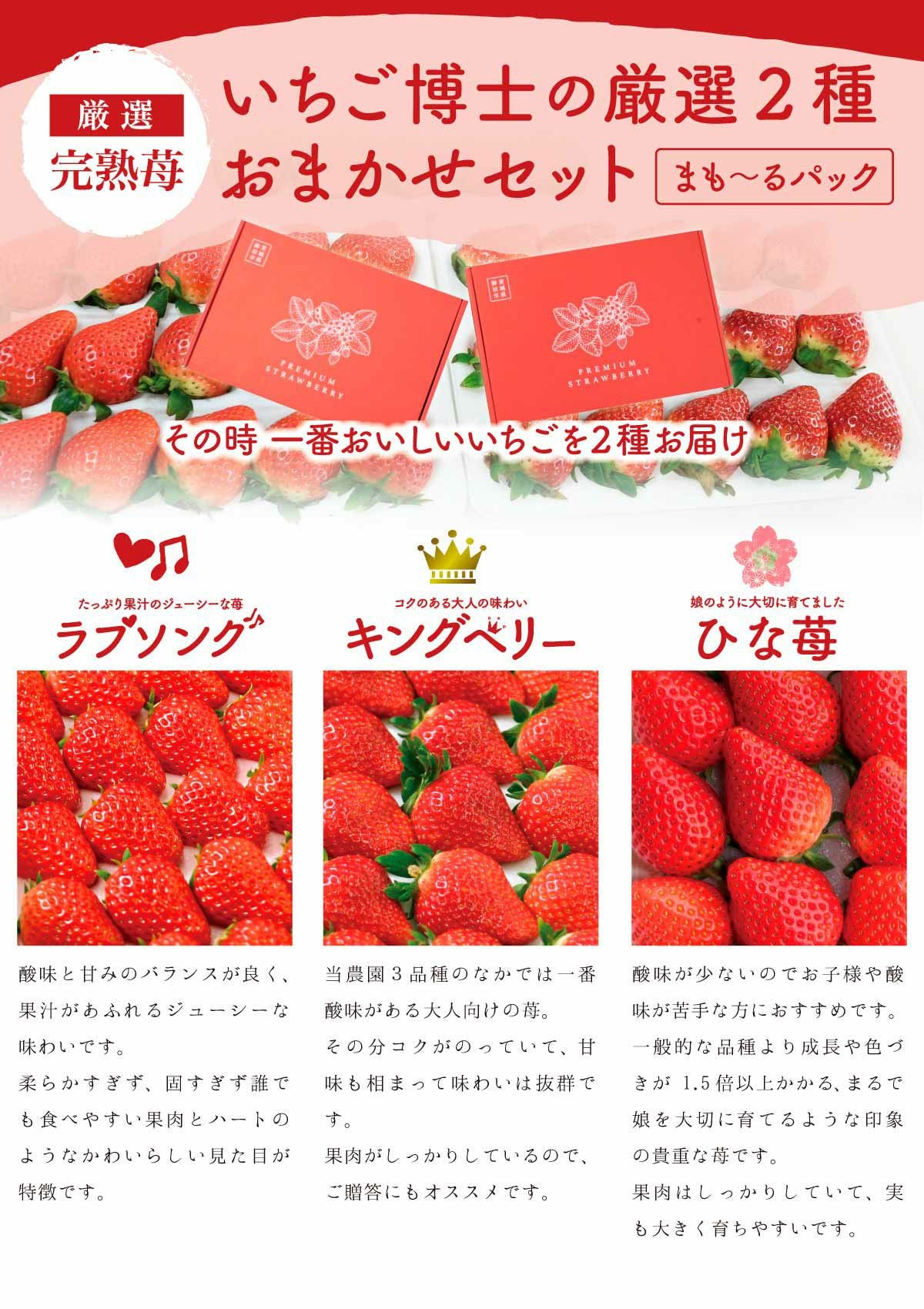 豪華・贈答用いちご まも～るパック いちご2種類セット【送料無料