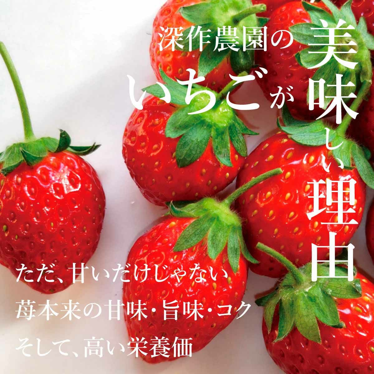 いちご 品種おまかせプレミアムパック 2Lサイズ×4パック【送料無料