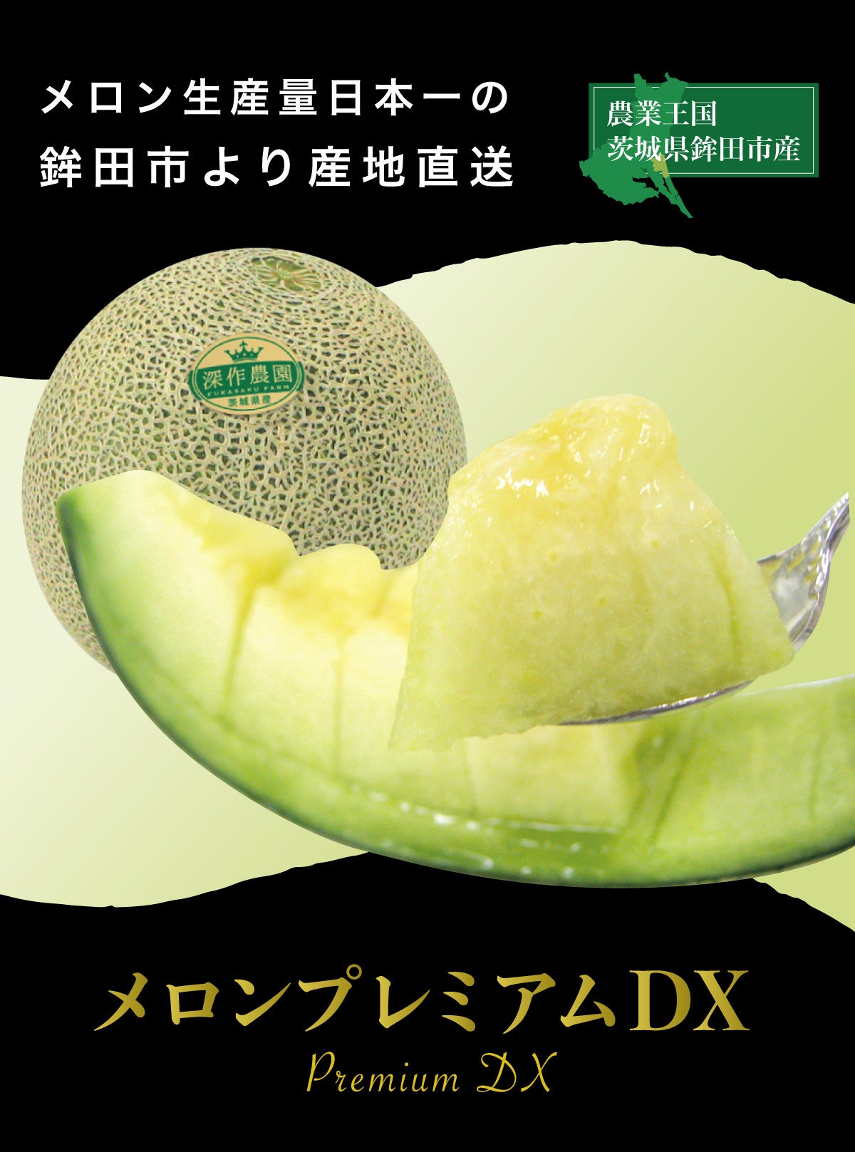 000000000195-01.jpg?size=l&w=