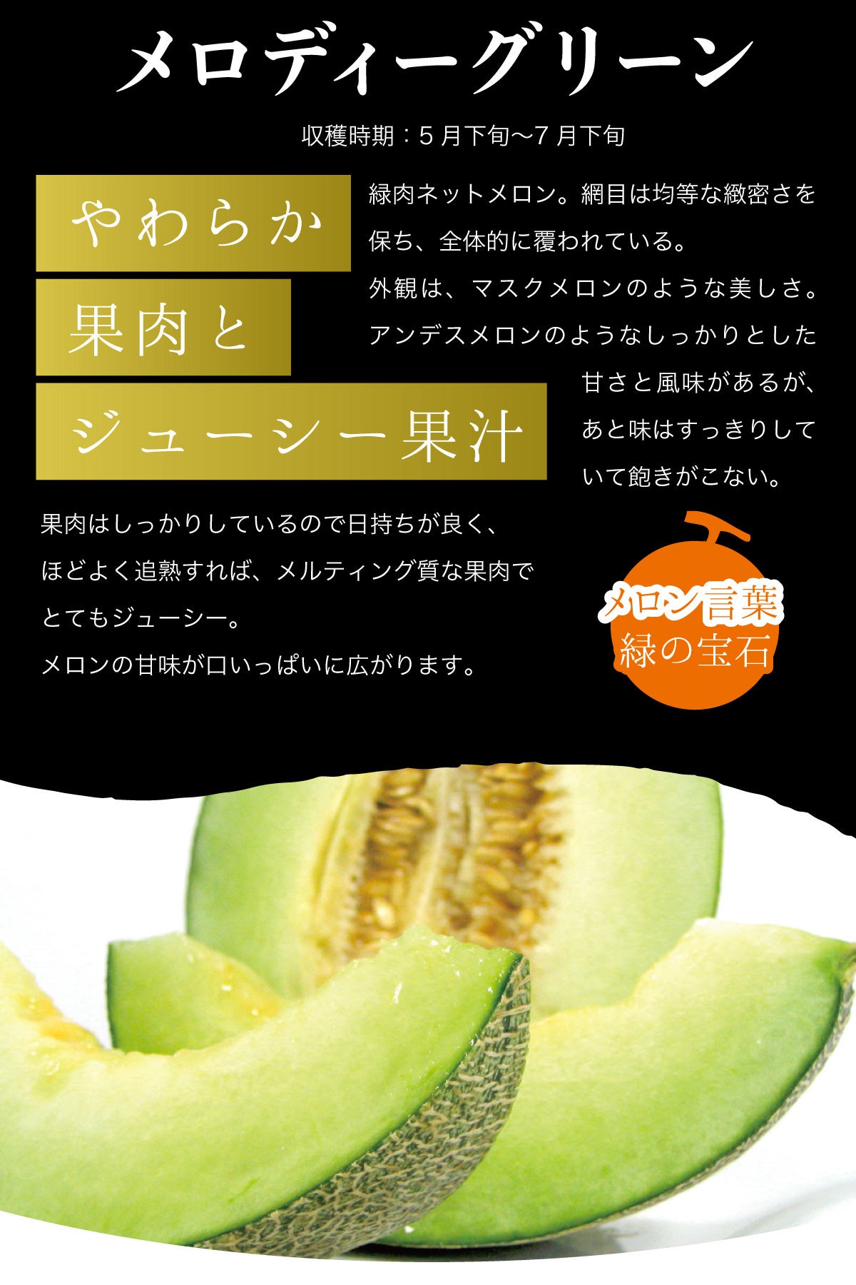 送料無料】メロン メロディーグリーンプレミアムDX 豪華特注箱入り 大