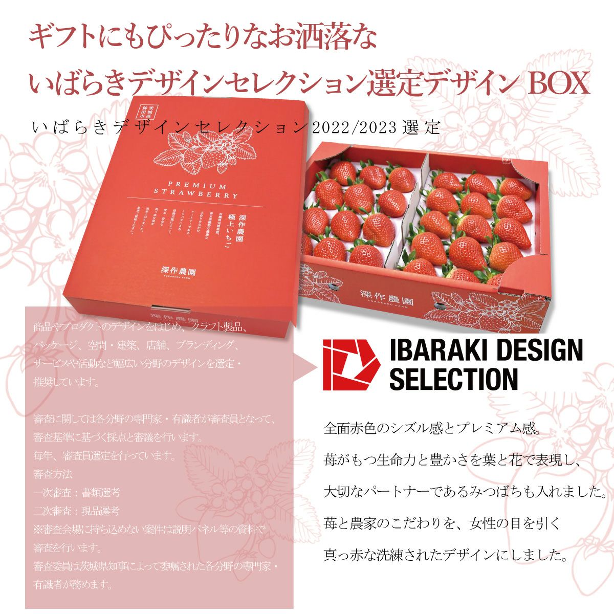 いちご 品種おまかせプレミアムパック 3Lサイズ×2パック【送料無料