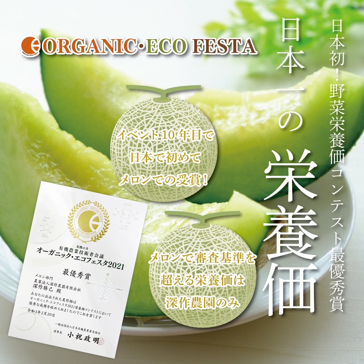 送料無料】メロン 訳あり品種指定無し 5kg箱詰め サイズ不問3玉～6玉
