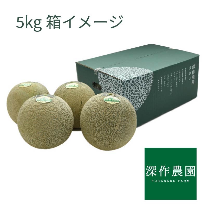 送料無料】メロン 訳あり品種指定無し 5kg箱詰め サイズ不問3玉～6玉