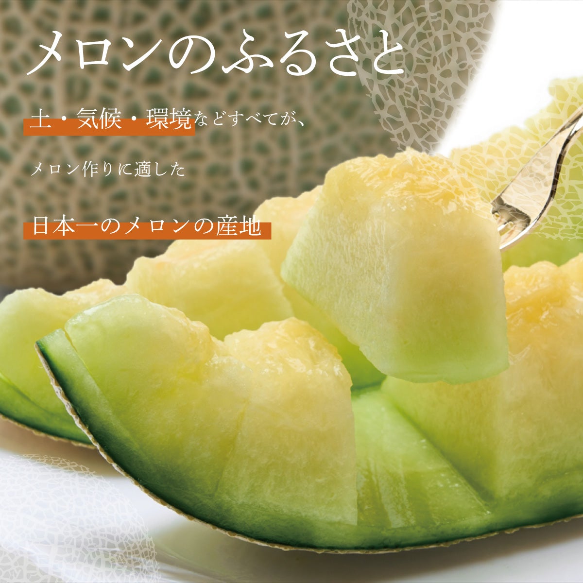 送料無料】メロン 訳あり品種指定無し 5kg箱詰め サイズ不問3玉～6玉