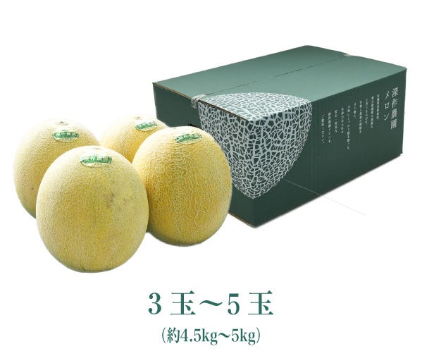 めろんさん専用 送料無料】メロン オーロラグリーン5kg箱詰め（サイズ不問3～6玉