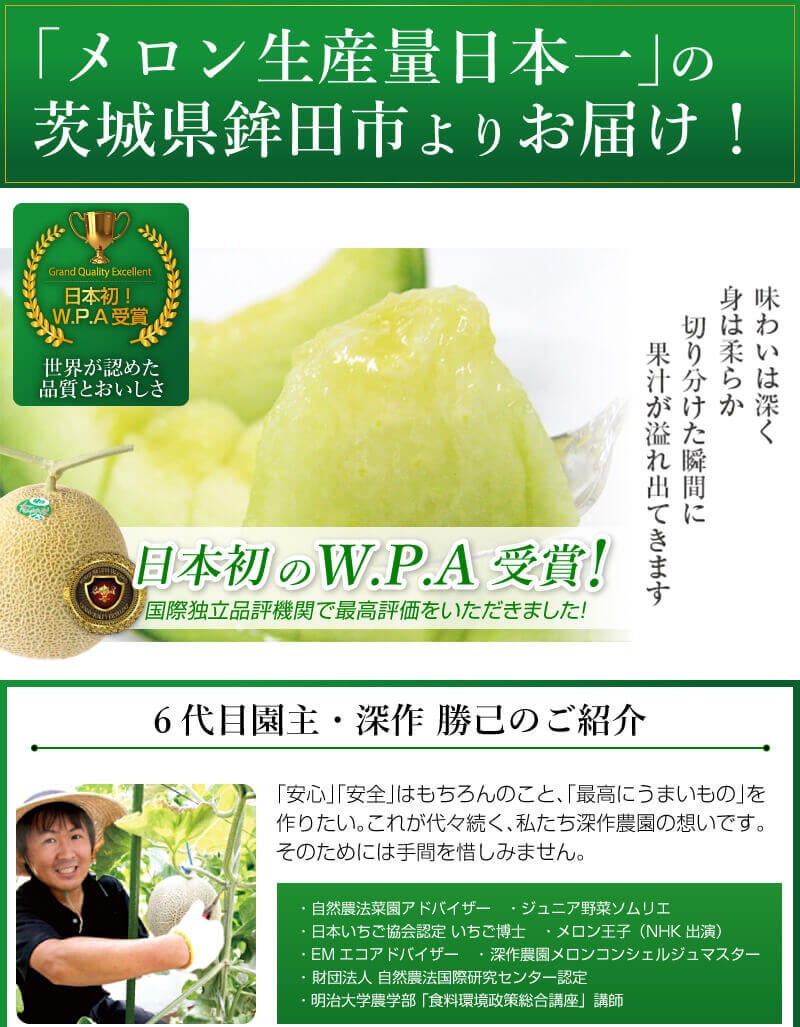 送料無料】メロン オーロラグリーン5kg箱詰め（サイズ不問3～6玉