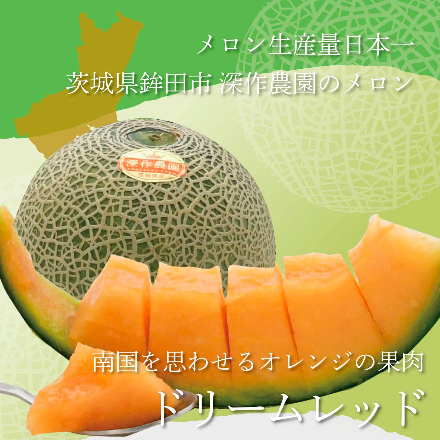 送料無料】メロン 赤青食べ比べセット メロディーグリーン & ドリーム